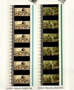 2026年最新】ジブリ フィルムブックマーカー 千と千尋の人気アイテム