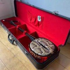 2026年最新】三線 蛇皮の人気アイテム - メルカリ