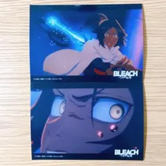 2026年最新】ブリーチ 四楓院 夜一の人気アイテム - メルカリ