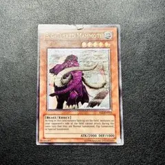 2026年最新】ビッグホーンマンモスの人気アイテム - メルカリ