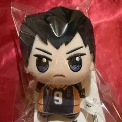 2026年最新】影山飛雄 ぬいぐるみの人気アイテム - メルカリ