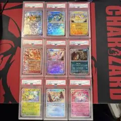 2026年最新】テラスタルフェス マスターボール 連番の人気アイテム