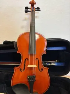 2026年最新】EASTMAN vl80の人気アイテム - メルカリ