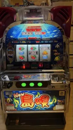 2026年最新】new島唄の人気アイテム - メルカリ