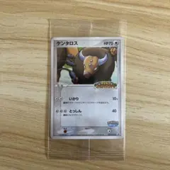 2026年最新】ケンタロス ポケパークの人気アイテム - メルカリ