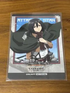 2026年最新】カラ鉄 ミカサの人気アイテム - メルカリ