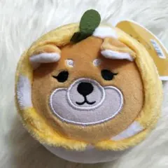 2026年最新】ほんやら堂 柴ずきんの人気アイテム - メルカリ