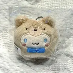 2026年最新】ラテクマ シナモンの人気アイテム - メルカリ