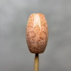 2026年最新】フォッシルコーラルの人気アイテム - メルカリ