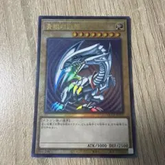 m36228889148_1.jpg?1771674966