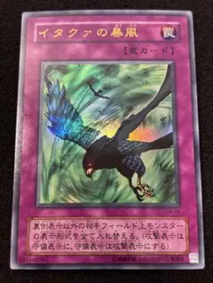 2026年最新】イタクァの暴風の人気アイテム - メルカリ