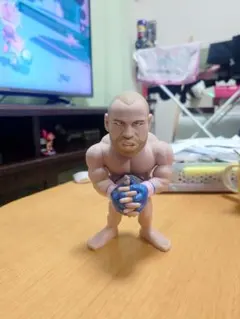 2026年最新】シウバ フィギュアの人気アイテム - メルカリ