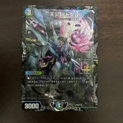 2026年最新】デドダム csプロモの人気アイテム - メルカリ