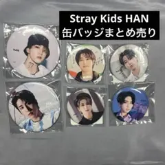 2026年最新】straykids ハン 缶バッジの人気アイテム - メルカリ