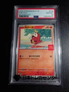 2026年最新】ホゲータ s psa10の人気アイテム - メルカリ