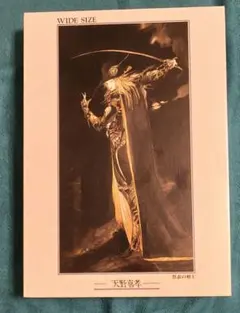 2026年最新】天野喜孝 パズルの人気アイテム - メルカリ