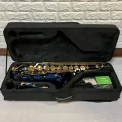 2026年最新】Kaerntner サックスの人気アイテム - メルカリ