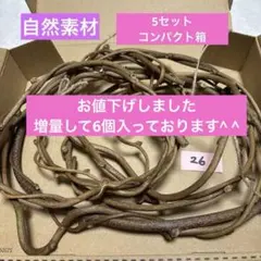 2026年最新】キウイのつるの人気アイテム - メルカリ