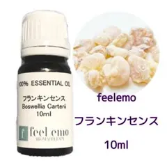 2026年最新】聖書の中の10のオイルの人気アイテム - メルカリ