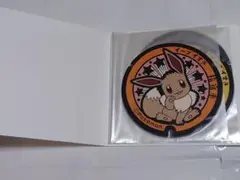 2026年最新】ポケふた ニンフィアの人気アイテム - メルカリ