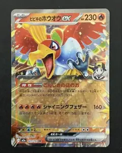 2026年最新】ホウオウの人気アイテム - メルカリ