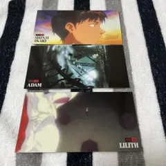 2026年最新】エヴァンゲリオン カードダスマスターズ ワイドの人気