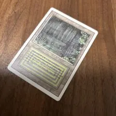 2026年最新】mtg bayouの人気アイテム - メルカリ