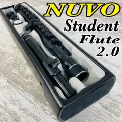 2026年最新】nuvo プラスチックフルートの人気アイテム - メルカリ