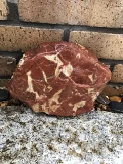 2026年最新】紅加茂石 水石の人気アイテム - メルカリ