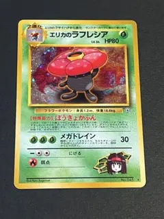 エリカのラフレシア ☆ ジム拡張第1弾 リーダーズスタジアム - メルカリ