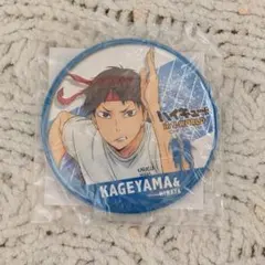 2026年最新】影山飛雄缶バッジの人気アイテム - メルカリ
