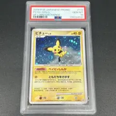 2026年最新】ピチュー ベイビィしんかの人気アイテム - メルカリ