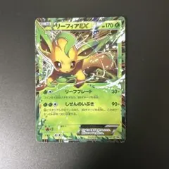 2026年最新】リーフィア プレイマットの人気アイテム - メルカリ