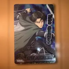 2026年最新】リヴァイSRの人気アイテム - メルカリ