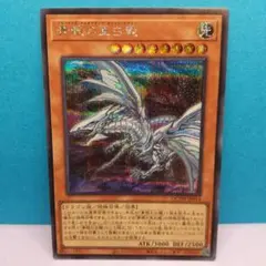 2026年最新】青眼の亜白龍 ブルーシークレットの人気アイテム - メルカリ