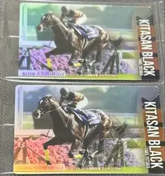 2026年最新】サラブレッドホースコレクション キタサンブラックの人気