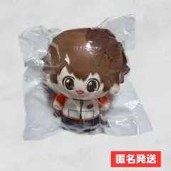 2026年最新】沢田綱吉 ぬいぐるみの人気アイテム - メルカリ