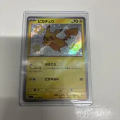 2026年最新】色違いピカチュウSの人気アイテム - メルカリ