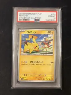 2026年最新】ピカチュウ げきとうスパーク psa10の人気アイテム - メルカリ