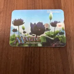 2026年最新】水蓮の谷間の人気アイテム - メルカリ