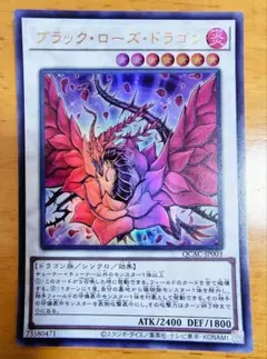 2026年最新】ブラックローズドラゴン 20thの人気アイテム - メルカリ