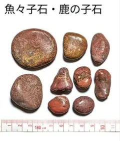 2026年最新】錦石の人気アイテム - メルカリ