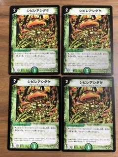 2026年最新】シビレアシダケ プロモの人気アイテム - メルカリ