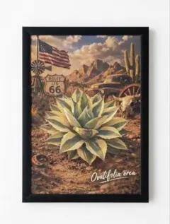 2026年最新】アガベオバティフォリアの人気アイテム - メルカリ