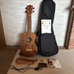 2026年最新】平井大 ウクレレの人気アイテム - メルカリ