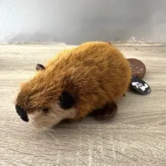 2026年最新】スーパービーバーちゃん ぬいぐるみの人気アイテム - メルカリ