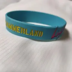 2026年最新】lisa ラバーバンドの人気アイテム - メルカリ