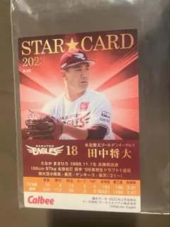 2026年最新】プロ野球チップス 田中の人気アイテム - メルカリ
