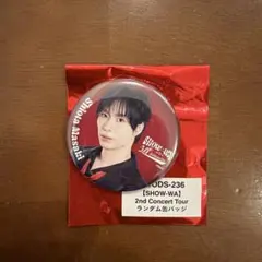 2026年最新】ピンズ・ピンバッジ・缶バッジの人気アイテム - メルカリ