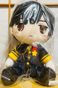 2026年最新】ヘタリアBIGぬいぐるみの人気アイテム - メルカリ